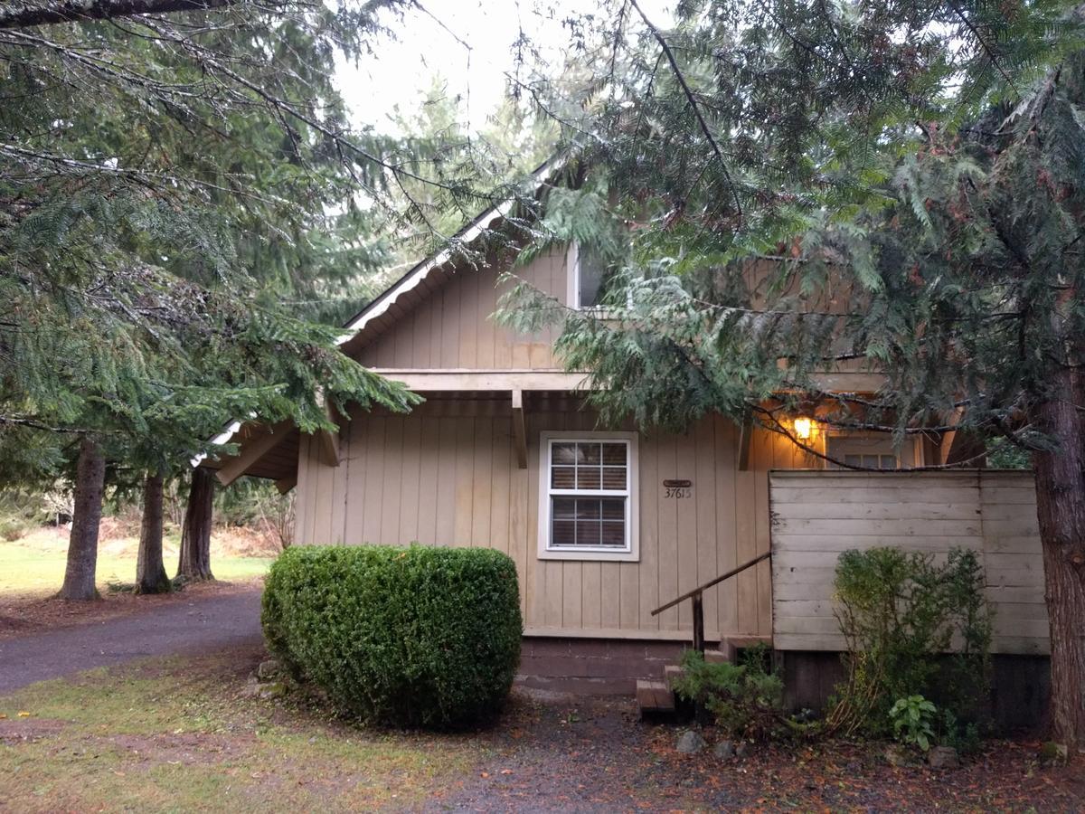 Chalet At Mt. Rainier Villa Ashford Esterno foto